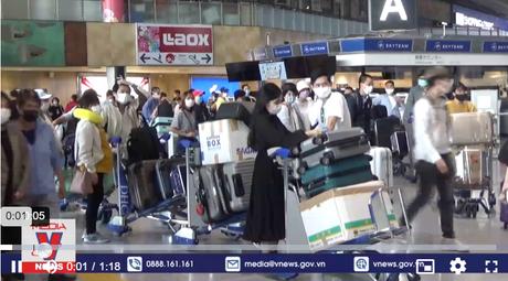 Kiều bào Việt Nam ở Nhật Bản hoan nghênh việc nối lại đường bay quốc tế