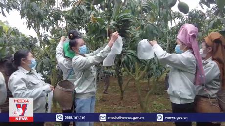 Tiêu điểm kinh tế: Đầu ra cho nông sản vùng miền