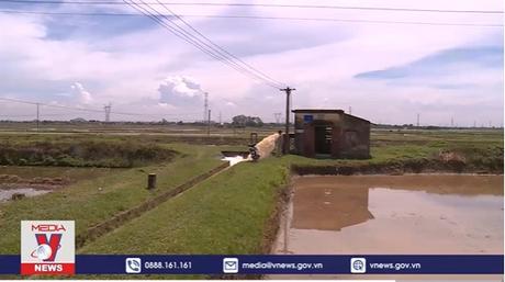 Gần 90% diện tích vụ Đông Xuân đã có nước