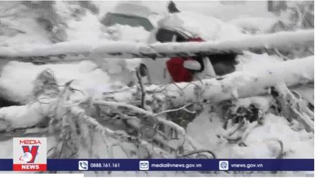 Bão tuyết gây thương vong lớn tại Pakistan