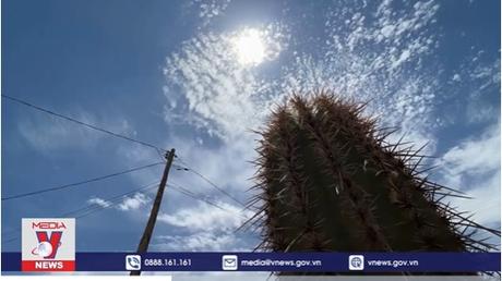 Cảnh báo nắng nóng nghiêm trọng tại khu vực Tây Nam nước Mỹ