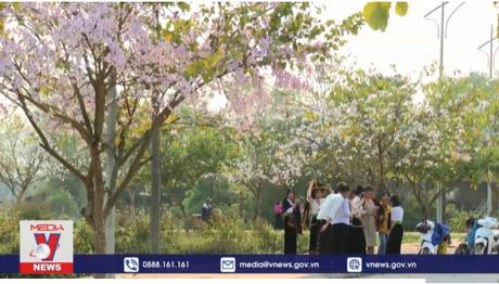 Du khách đến Điện Biên tăng cao dịp Lễ hội Hoa Ban