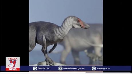 Phát hiện hóa thạch khủng long ăn thịt khổng lồ ở Chile