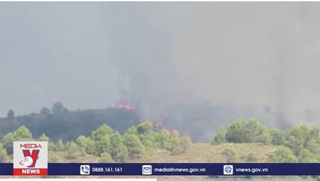 Khô hạn và cháy rừng nghiêm trọng ở châu Âu