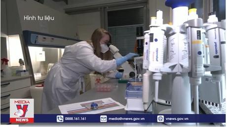 Hãng Roche phát triển xét nghiệm PCR bệnh đậu mùa khỉ