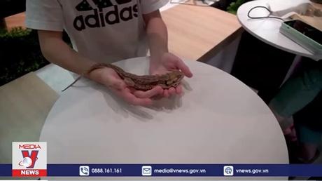 Quán café “bò sát” ở Malaysia