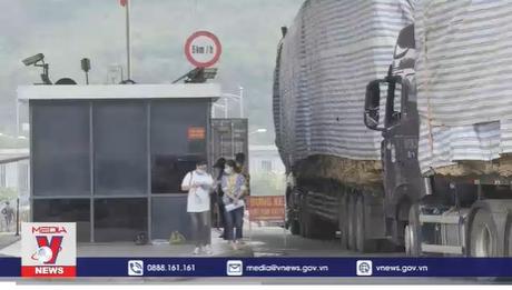 Xuất nhập khẩu nông sản vẫn gặp nhiều khó khăn