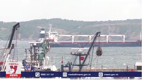 Liên hợp quốc bổ nhiệm điều phối viên Sáng kiến ngũ cốc Biển Đen