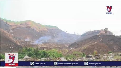 “Tan hoang” rừng Đắk Lắk