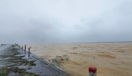 Mưa lớn nhấn chìm hàng nghìn héc-ta lúa tại Quảng Trị