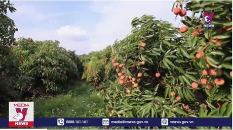 Sở hữu trí tuệ phát triển tài sản giá trị quốc gia