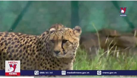 Nuôi nhốt động vật hoang dã để chăm sóc, bảo tồn