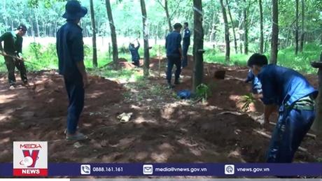 Bình Phước phát hiện và quy tập được 38 hài cốt liệt sỹ