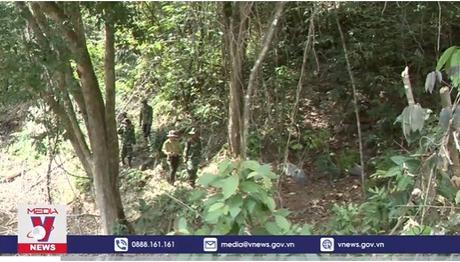 Gắn lợi ích với trách nhiệm của cộng đồng trong bảo vệ rừng