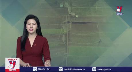 Giá rau xanh khó hạ nhiệt dịp cuối năm