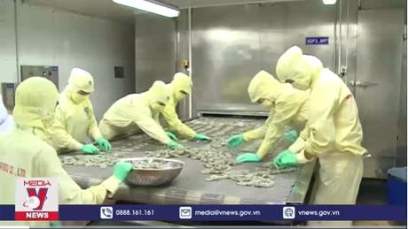 Xuất khẩu hàng hóa sụt giảm