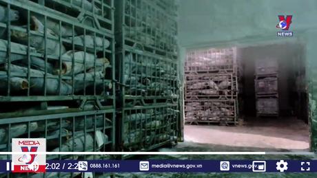 Hoàn thiện hồ sơ truy xuất nguồn gốc thủy sản khắc phục 