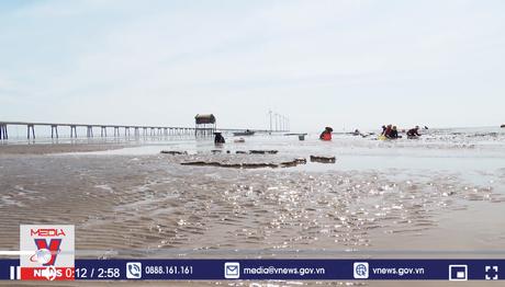 Đảm bảo hài hòa lợi ích cho người nuôi nghêu ở Bạc Liêu