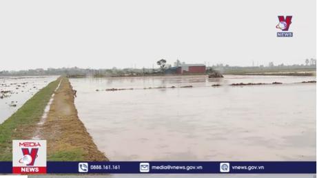 Không để lãng phí ruộng bỏ hoang