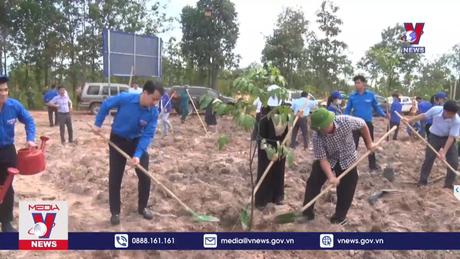 Tổng kết chương trình 