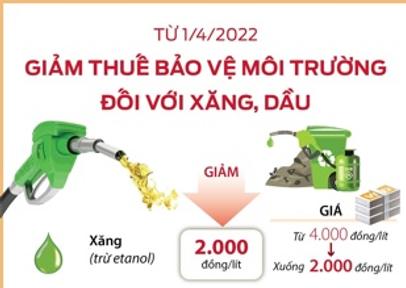 Giảm thuế bảo vệ môi trường đối với xăng, dầu từ 01/4/2022