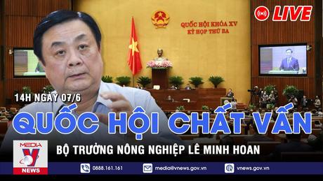 |TRỰC TIẾP| QUỐC HỘI CHẤT VẤN BỘ TRƯỞNG LÊ MINH HOAN