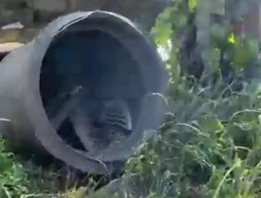 Nam Định: Nổ lò hơi, một người tử vong