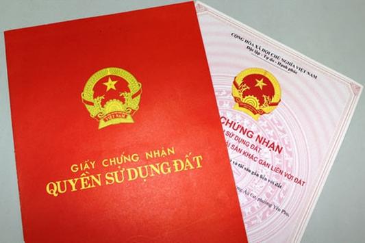 Kon Tum: Đề nghị điều tra, làm rõ các trường hợp có dấu hiệu làm giả 