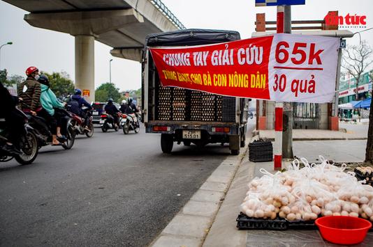 Cần làm rõ nguồn gốc những quả 'trứng gà, vịt giải cứu' ở Hà Nội