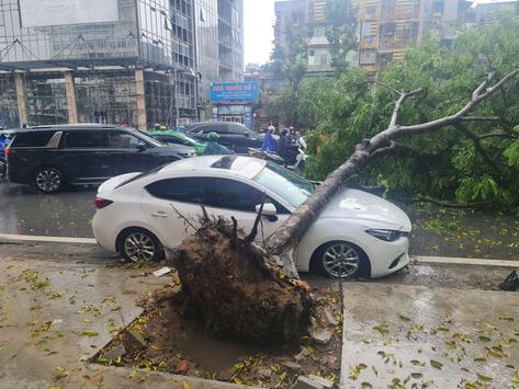 Hà Nội: Mưa lớn khiến nhiều tuyến phố ngập, cây đổ đè ô tô