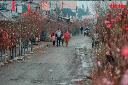 Thời tiết Tết Nguyên đán 2022 ra sao?