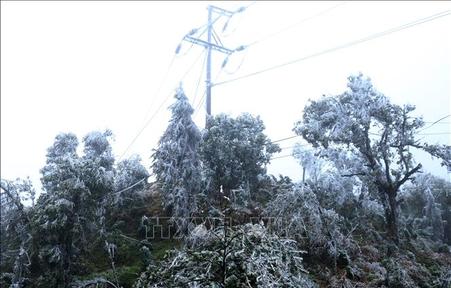 Băng tuyết phủ kín đỉnh đèo Ô Quý Hồ, Lào Cai