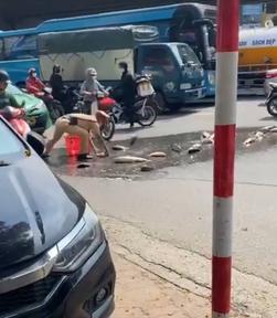 CSGT nhặt giúp hơn 1 tạ cá bị đổ giữa đường Hà Nội