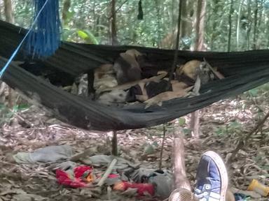 Điều tra, xác minh nhân thân của hai bộ xương người trong rừng ở Gia Lai