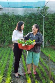 Bền bỉ một dòng chảy tín dụng 