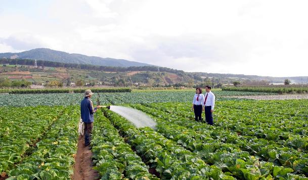 Khơi thông nguồn vốn phục vụ phát triển “Tam nông”, Agribank góp phần quan trọng đẩy lùi tín dụng đen