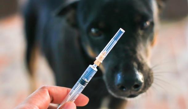 Hà Nội: Tiêm vaccine cho 24 người có nguy cơ lây bệnh dại ở huyện Mê Linh 