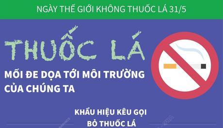 Ngày Thế giới không thuốc lá (31/5/2022): Thuốc lá - Mối đe dọa tới môi trường của chúng ta
