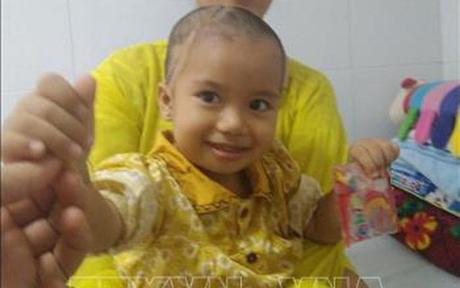 Thanh Hóa: Cứu chữa bé 2 tuổi bị chó cắn với các vết thương nặng