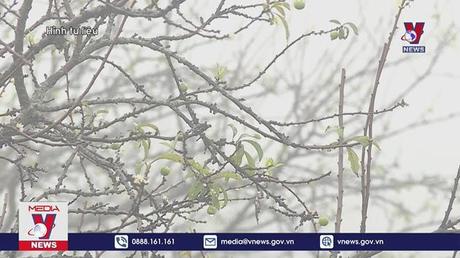 Không khí lạnh tiếp tục tăng cường