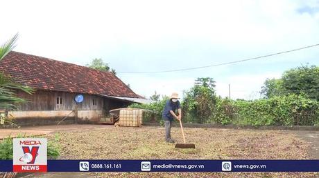 Nhân dân Đắk Lắk kỳ vọng năm mới ổn định và phát triển