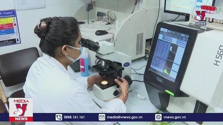 Ấn Độ xin cấp phép vaccine Covishield phòng COVID-19