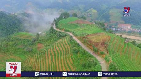 Ruộng bậc thang Mù Cang Chải đón nhận Bằng xếp hạng di tích quốc gia đặc biệt