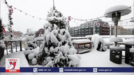 Cây thông Noel phủ trong tuyết trắng tại Mỹ