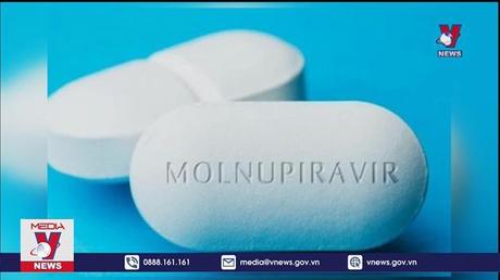 Bộ Y Tế xem xét cấp phép sản xuất thuốc Molnupiravir 