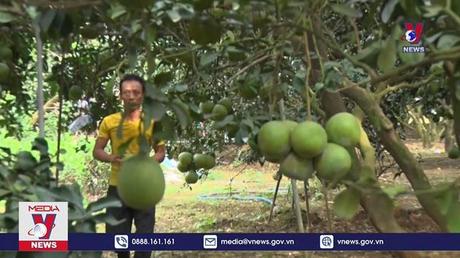 Đồng Nai có 65 xã nông thôn mới nâng cao, kiểu mẫu