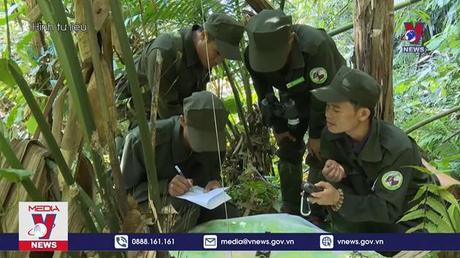 Thừa Thiên – Huế tăng cường công tác bảo vệ rừng dịp Tết Nguyên đán

