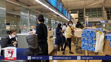 Nối lại chuyến bay thường lệ giữa Việt Nam và Hàn Quốc