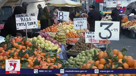 Giá lương thực trên thế giới  đạt mức cao nhất trong một thập kỷ