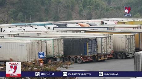 Doanh nghiệp vào cuộc tiêu thụ nông sản ùn ứ